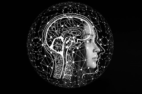 neuroscience of cramming